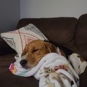 Meet your Posher, Alejandra